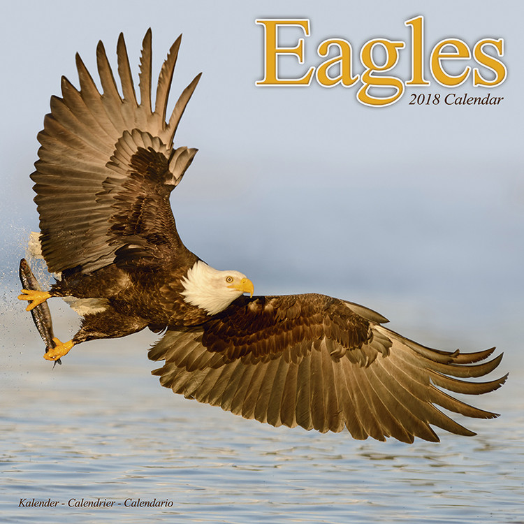 Eagles Calendari da muro 2018 Compra su Europosters