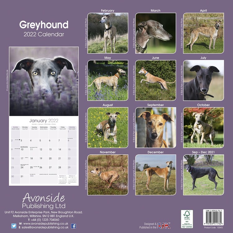 greyhound desk calendar