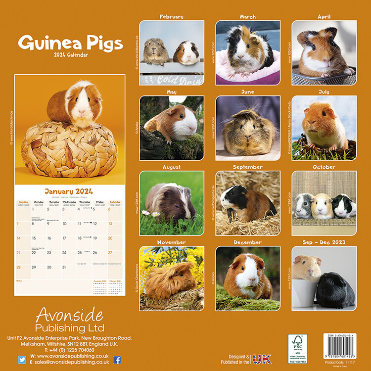 Calendario da muro Calendario per bambini - Animal Friends 2024