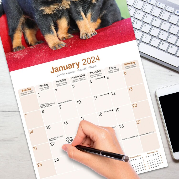 Rottweiler - Calendari da muro 2024