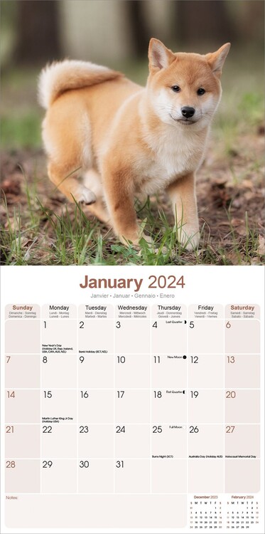 Calendario Porta Foto da Muro - 2024