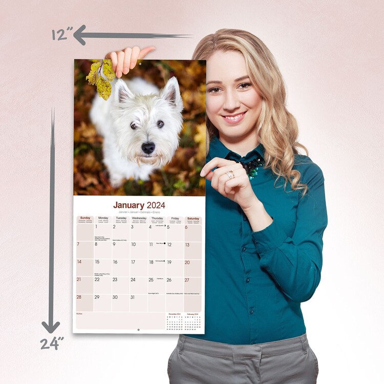 West Highland Terrier - Calendari da muro 2024