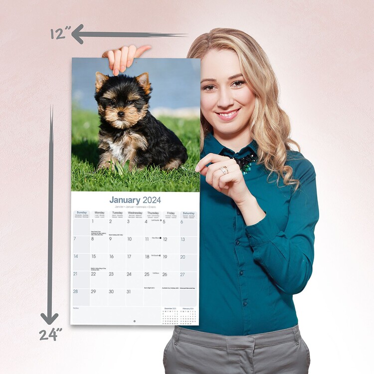 Calendario 2024 da parete 30 x 29 cm DOGS