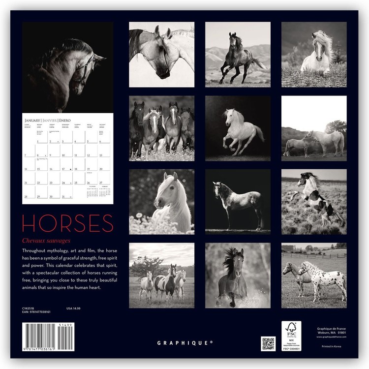 CAVALLI HORSES Calendario da parete 2020 