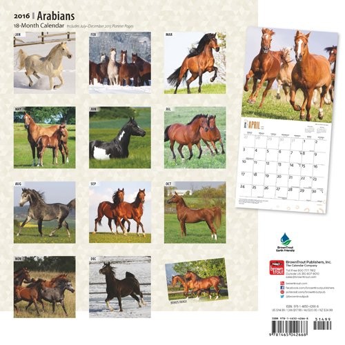 CAVALLI HORSES Calendario da parete 2020 
