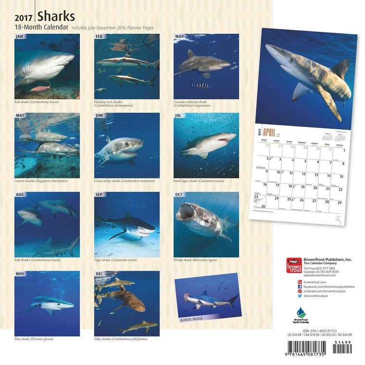 Tiburón Calendarios de pared 2022 Consíguelos en Eurposters.es