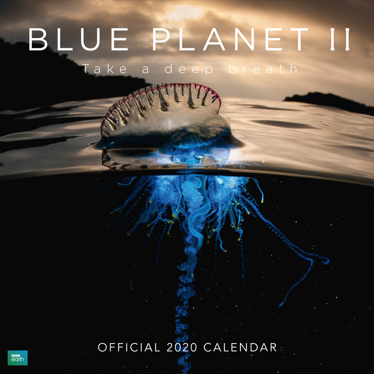 BBC Blue Calendarios de pared 2024 Consíguelos en Posters.es