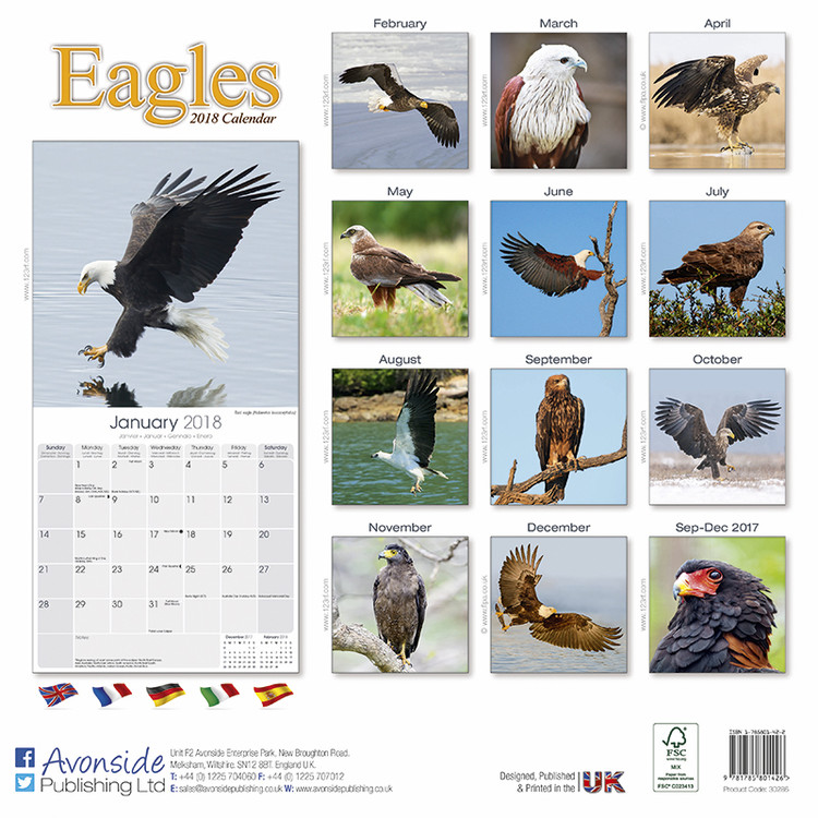 Eagles Calendarios de pared 2018 Consíguelos en Posters.es