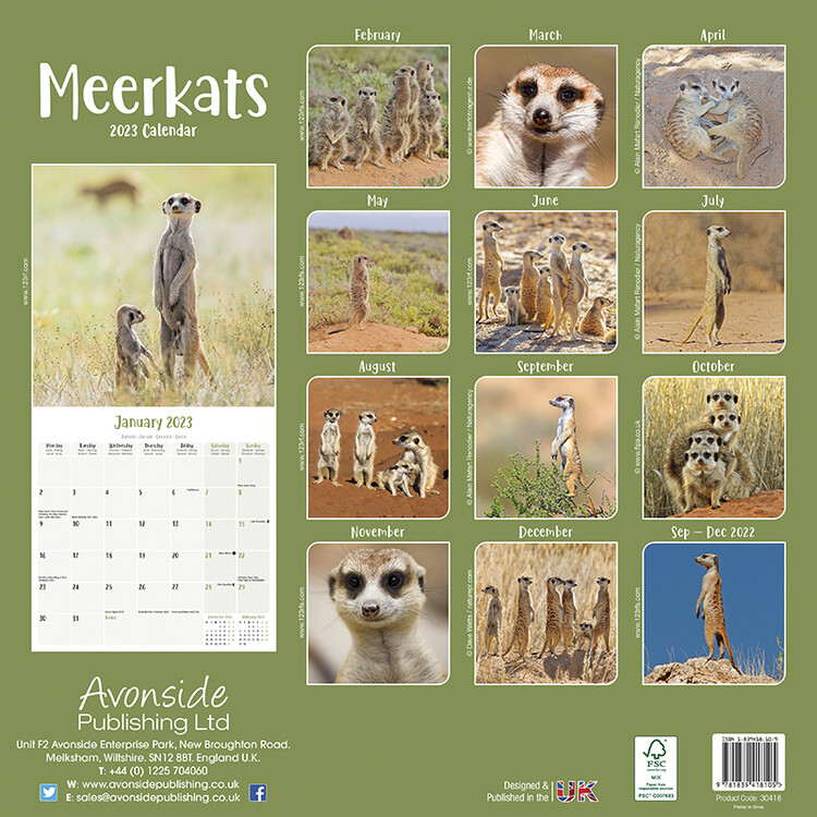 Meerkats Calendarios de pared 2024 Consíguelos en Posters.es