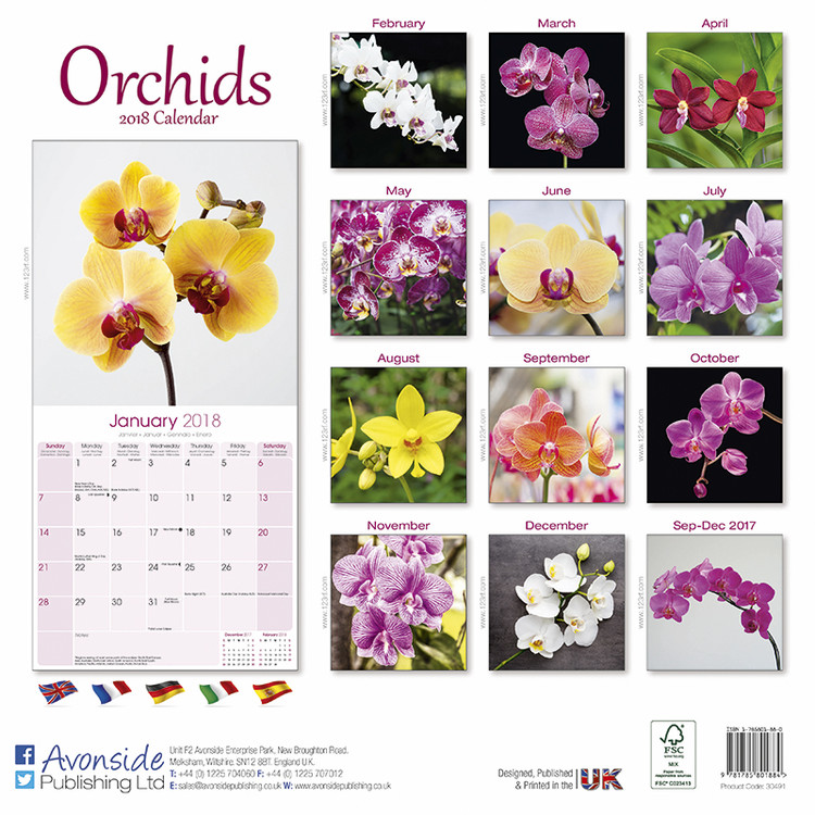 Благоприятные дни для пересадки орхидей