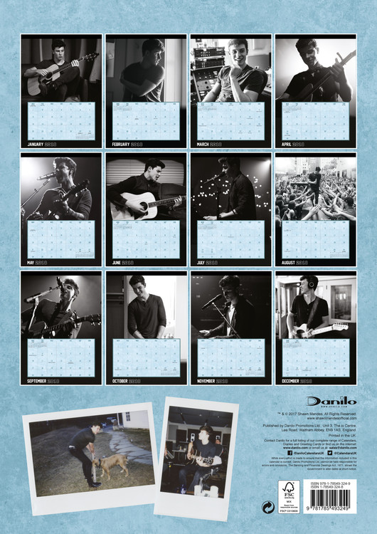 interior Sastre Actualizar Shawn Mendes - Calendarios de pared 2018 | Consíguelos en Posters.es