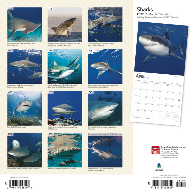Tiburón Calendarios 2021
