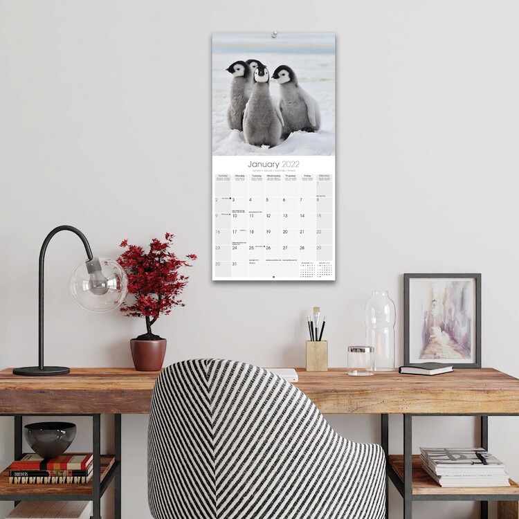 Baby Animals Wall Calendars 2022 Buy at UKposters