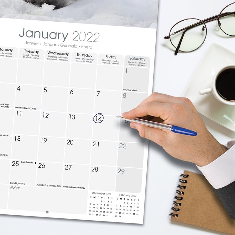 Baby Animals Wall Calendars 2022 Buy at Europosters