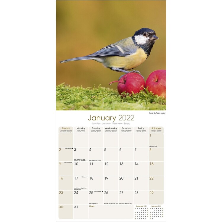 Garden Birds - Wall Calendars 2022 | Buy at UKposters