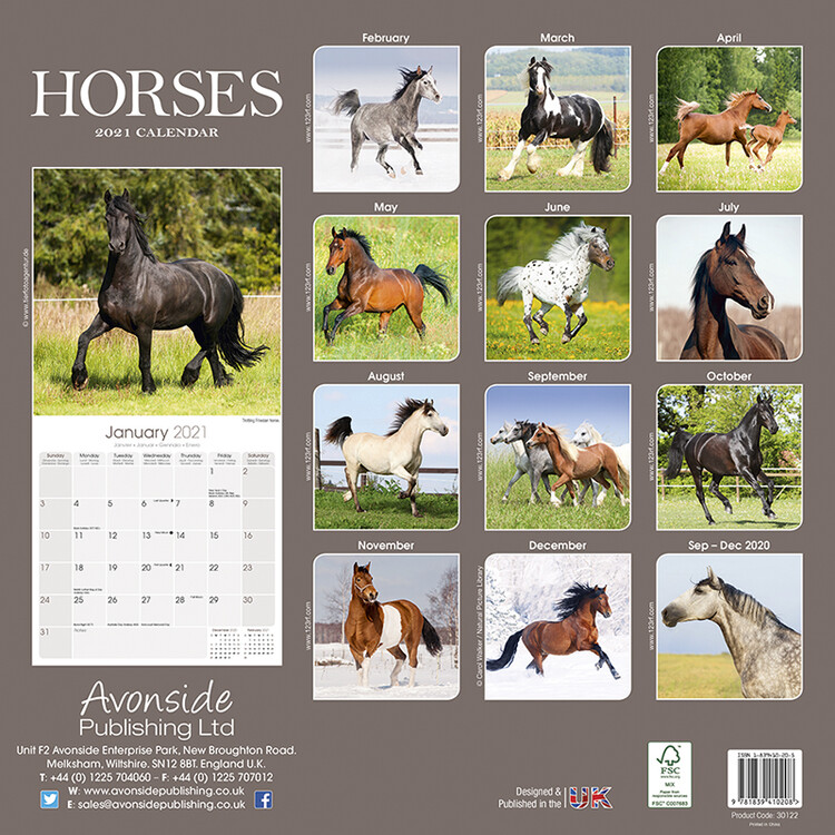 2021 Horses in The Wild Wall Calendar 