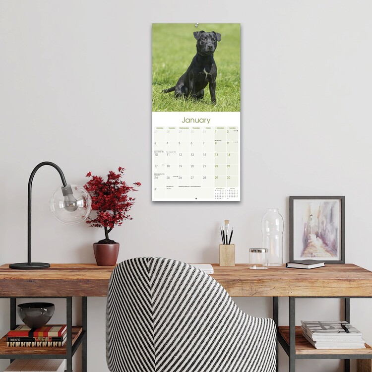 Patterdale Terrier Wall Calendars 2024 Buy at UKposters