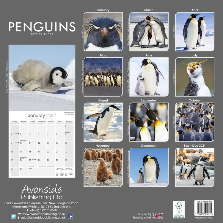 Penguins 2022 Schedule Penguins - Wall Calendars 2022 | Large Selection