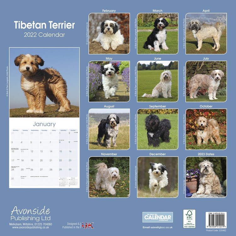 Calendrier Salon Vintage 2023 Tibetan Terrier - Wall Calendars 2022 | Large Selection