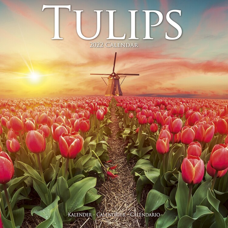 Tulips Wall Calendars 2022 Buy at UKposters