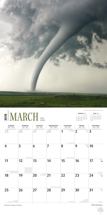 Wild Weather - Wall Calendars 2018 | Large Selection