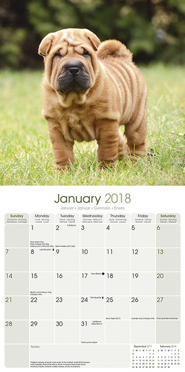 [PDF] Calendrier shar pei