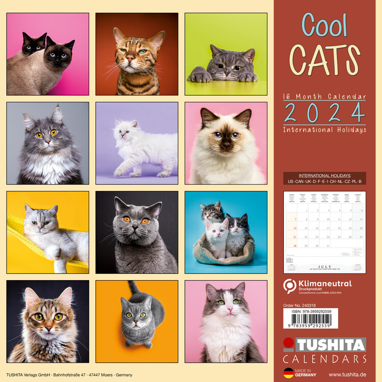 Acheter le calendrier Cats Around the World 2024 ? Rapidement et