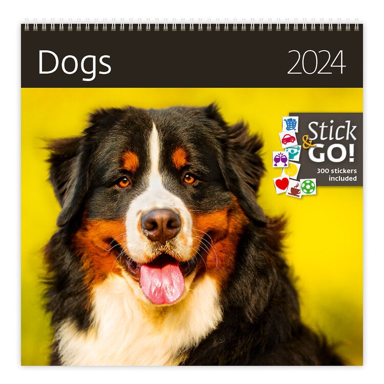 Calendrier 2024, calendrier de chiens médiévaux bizarres 2024