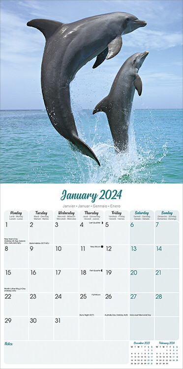 PERIODIQUE CALENDRIER ANIMAUX MARINS 2024