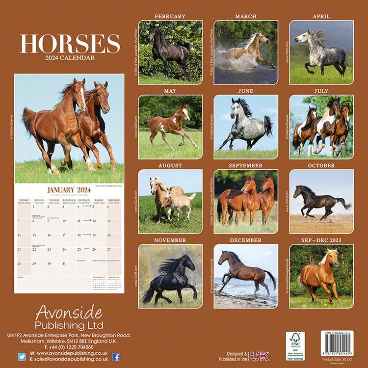 Calendrier mural Calendrier des chevaux - Dream Horses 2024