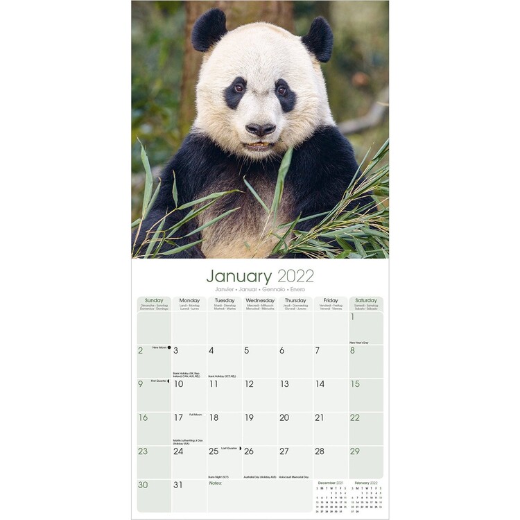 10 cadeaux à offrir à un fan de pandas