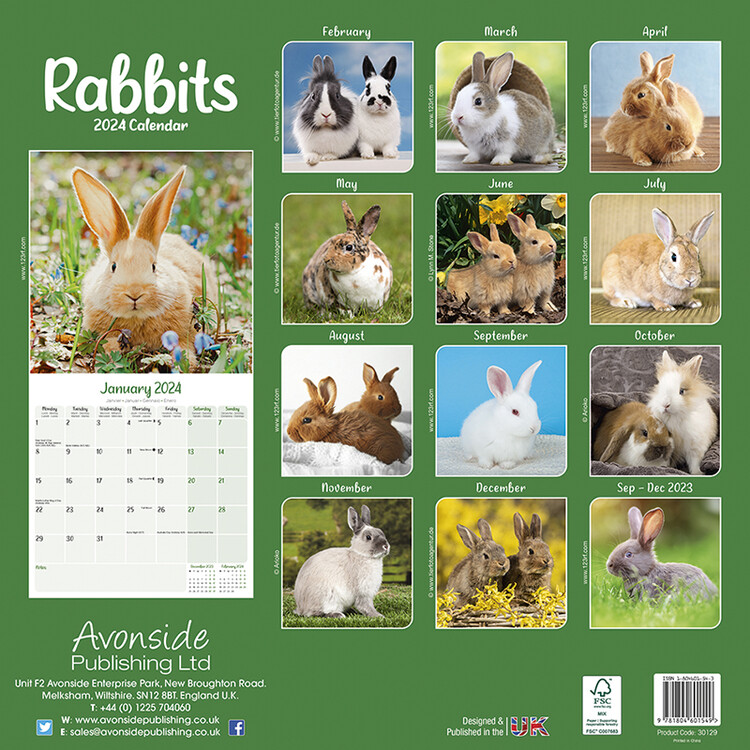 Carte cadeau lapin- Rabbits Worl