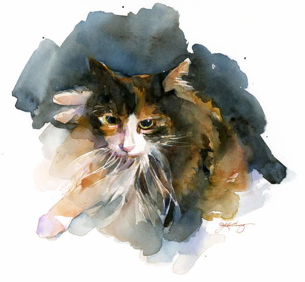Maglietta Calico Cat, 2015,