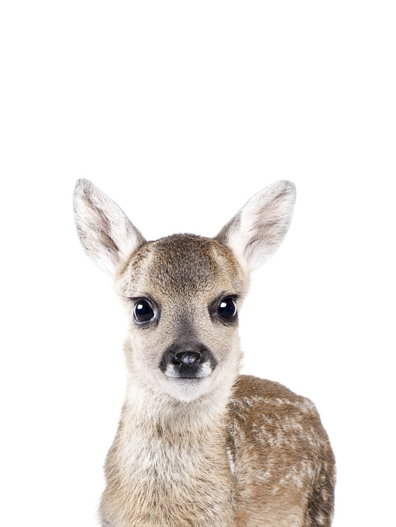 Print op canvas Deer 1