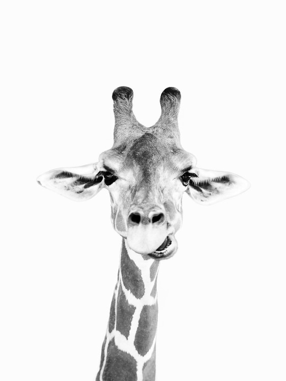 Print op canvas Happy giraffe