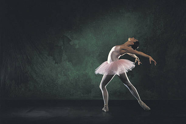 Canvas Print Ballerina posing