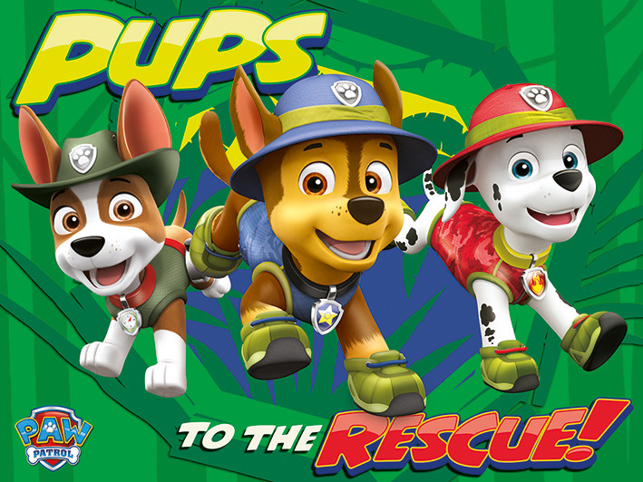 paw patrol pups to the rescue