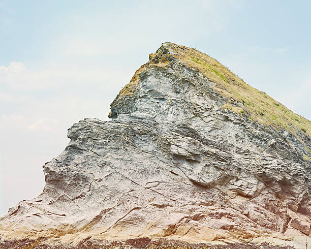 Canvas Print Rock & grass