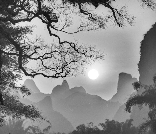 Canvas Print withered tree and mountain