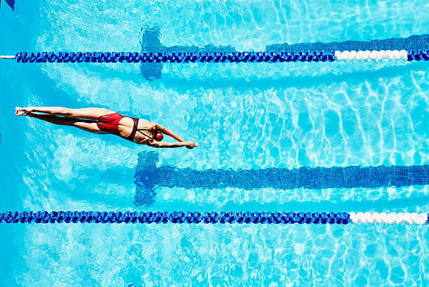 Schilderij op canvas Female competitive swimmer diving into pool
