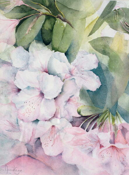 Schilderij op canvas Morning Magic