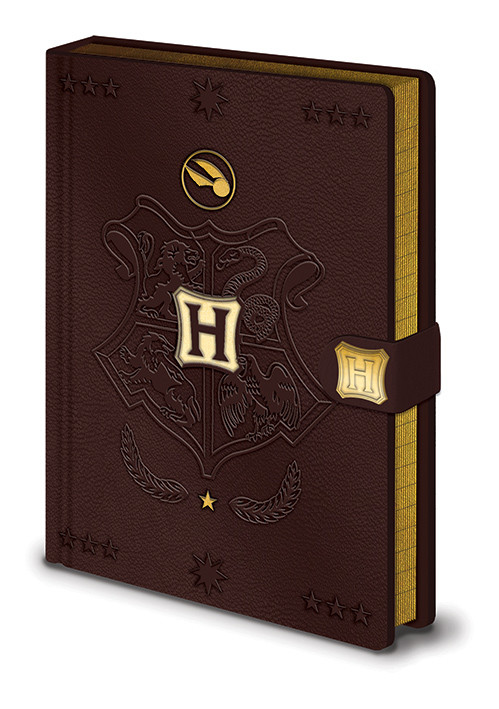 Cahier, journal Harry Potter - Quidditch