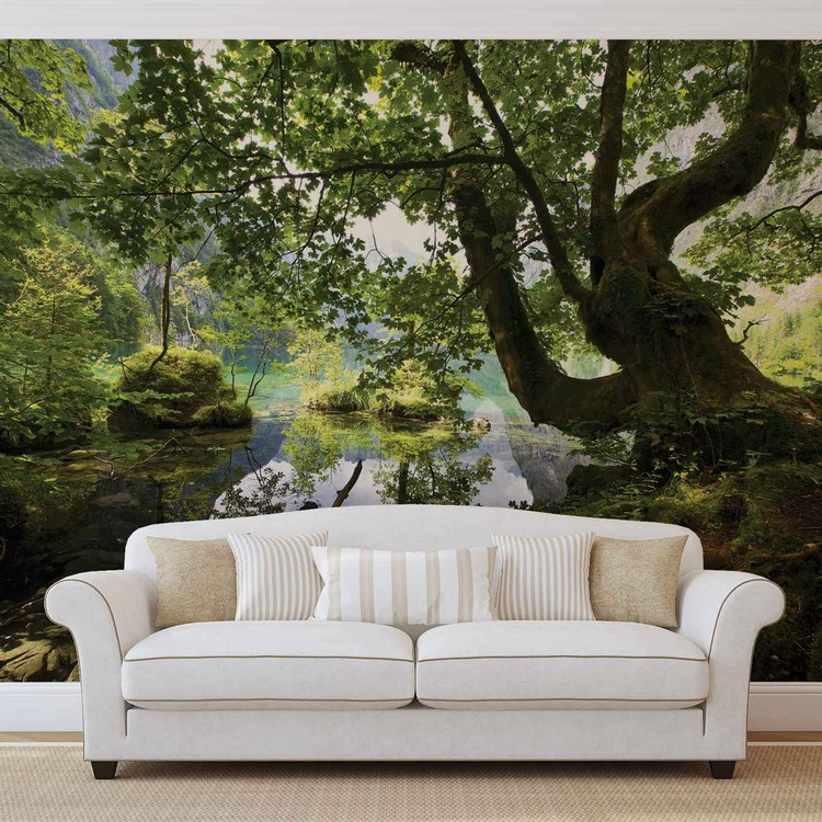 Forest scene full wall company wall mural