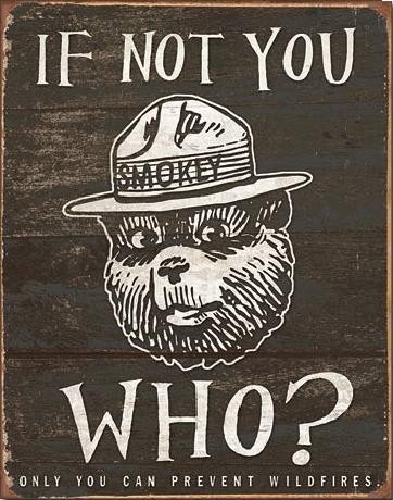 Cartel de metal SMOKEY BEAR - If Not You
