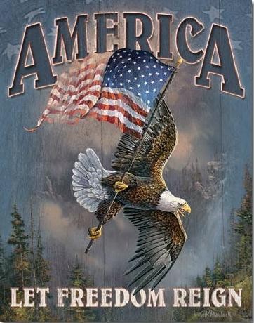 Cartello in metallo AMERICA - let freedom reign