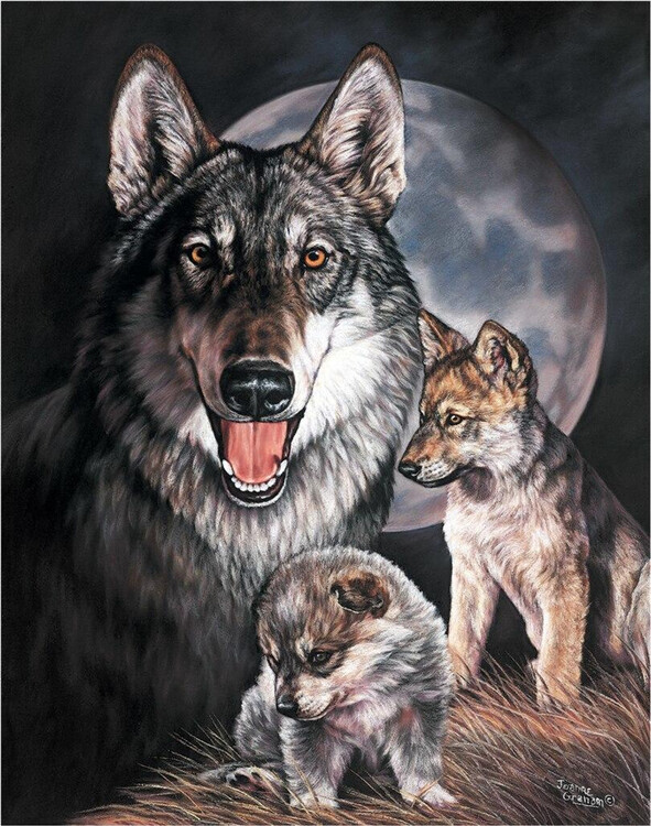 Cartello in metallo GRAHAM - Wolf Experience
