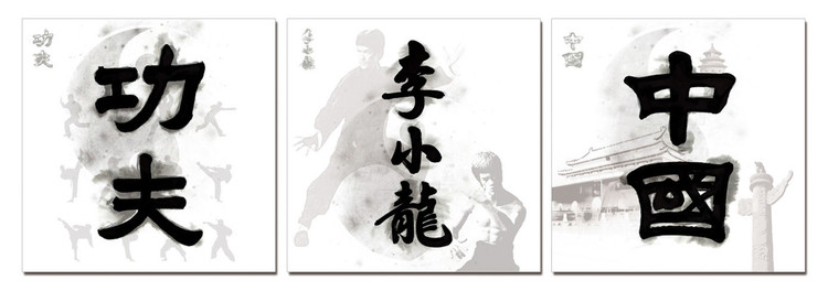 Obraz Čínské znaky - Kung Fu, Bruce Lee, Čína