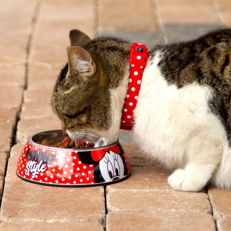 Accessori per cani Ciotola Minnie  Consigli per regali originali per  animali