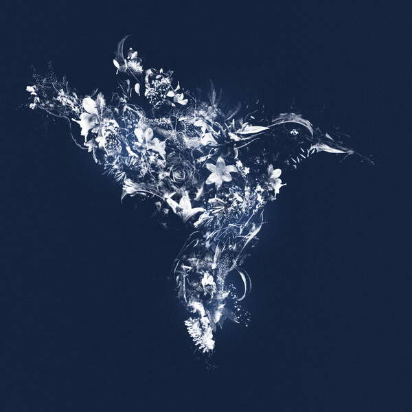 Tričko Floralbird, 2019