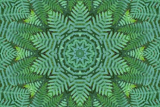Behang Green Ferns Pattern